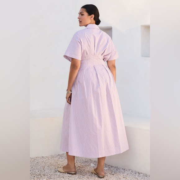 Anthropologie The Tobie Button-Front Pleated Shirt Dress - Picture 4 of 14